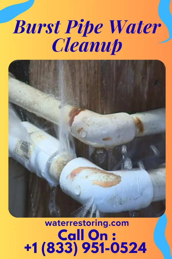 Burst Pipe Water Cleanup in Harveysburg, OH
