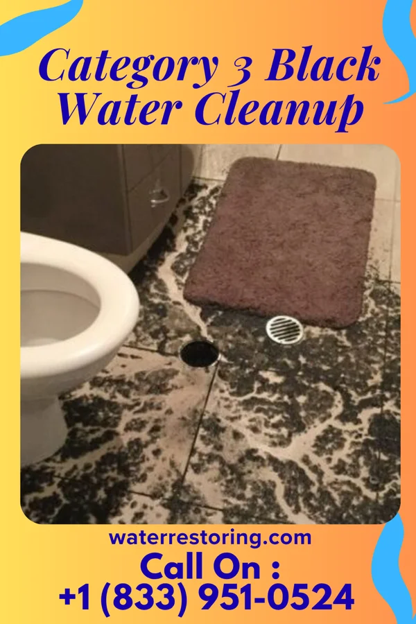 Category 3 Black Water Cleanup in Harveysburg, OH
