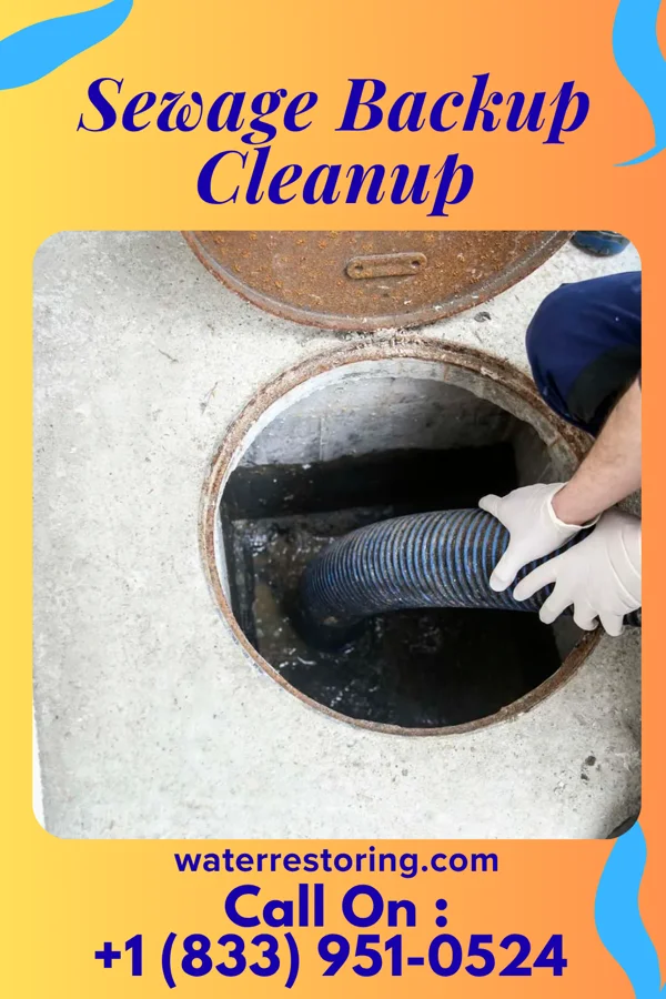 Sewage Backup Cleanup in Harveysburg, OH