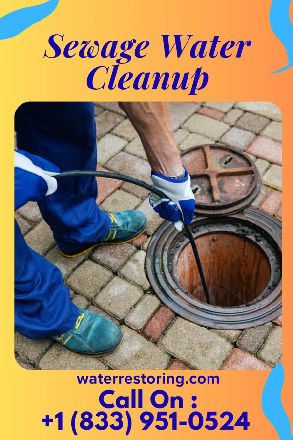 Sewage Water Cleanup in Harveysburg, OH