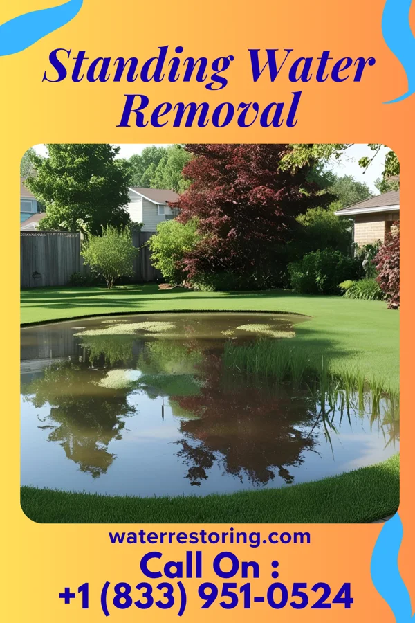 Standing Water Removal in Harveysburg, OH